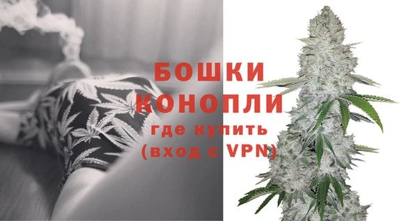 ПСИЛОЦИБИНОВЫЕ ГРИБЫ Белокуриха
