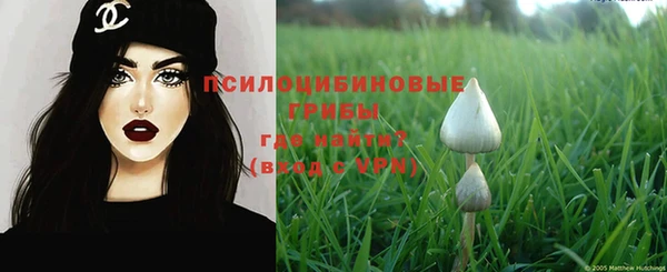 ПСИЛОЦИБИНОВЫЕ ГРИБЫ Белокуриха