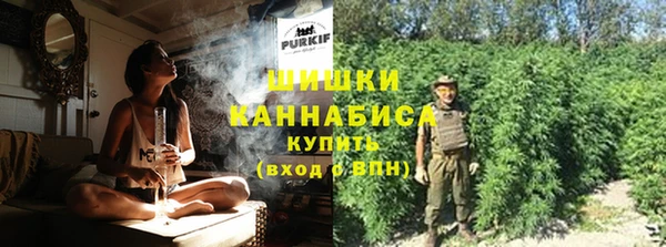 ПСИЛОЦИБИНОВЫЕ ГРИБЫ Белокуриха