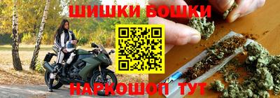 индика Ливны